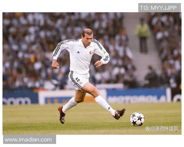 兔年闪耀绿茵场 足球明星展现非凡实力与无限魅力 兔年闪耀绿茵场 足球明星展现非凡实力与无限魅力