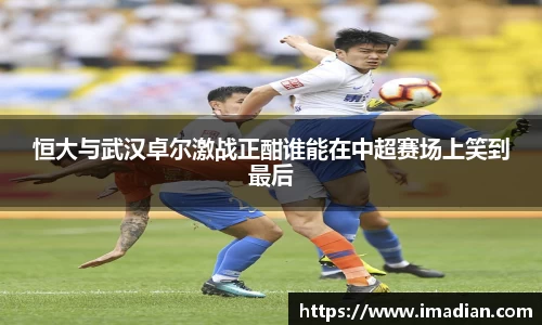 米兰体育官网