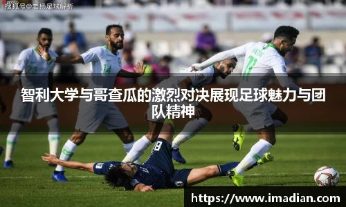 米兰体育app