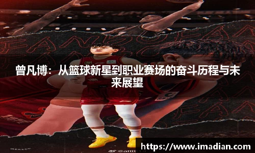 米兰体育网址